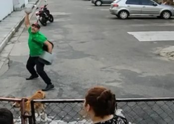 Vídeo: cachorrinho é apedrejad0 por homem em Manaus