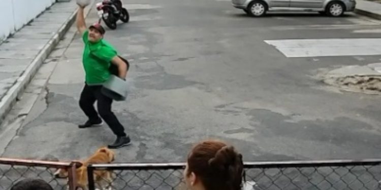 Vídeo: cachorrinho é apedrejad0 por homem em Manaus