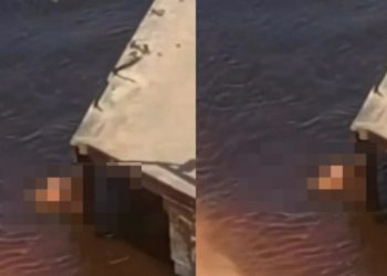 Vídeo: casal é filmado “fazendo filho” no Rio Negro: ‘depois a culpa é do boto’