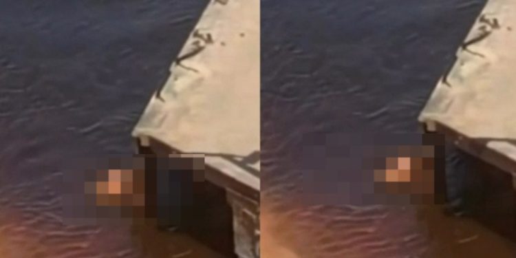 Vídeo: casal é filmado “fazendo filho” no Rio Negro: ‘depois a culpa é do boto’