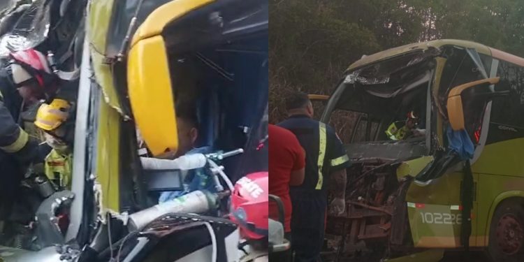Vídeo forte: motorista fica pres0 nas ferragens do ônibus na BR-174