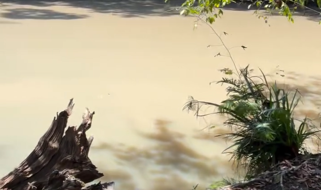 ‘Vontade de chorar’, lamenta proprietário de cachoeira fechada por contaminação em Presidente Figueiredo; veja