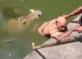 Vídeo: tratador é arrastad0 para a água e m0rre atacad0 por crocodilo: ‘eu via a dor nos olhos dele’
