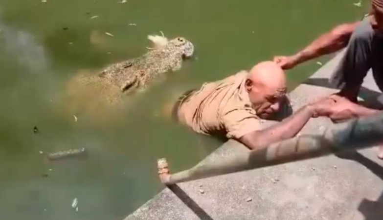 Vídeo: tratador é arrastad0 para a água e m0rre atacad0 por crocodilo: ‘eu via a dor nos olhos dele’