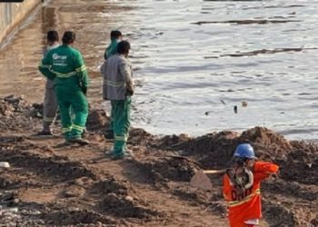 Vídeo: Na Feira da Banana, crânio humano é encontrado por trabalhadores