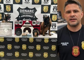Denarc bate recorde de toda a história e chega a 13 toneladas de drogas apreendidas no Amazonas
