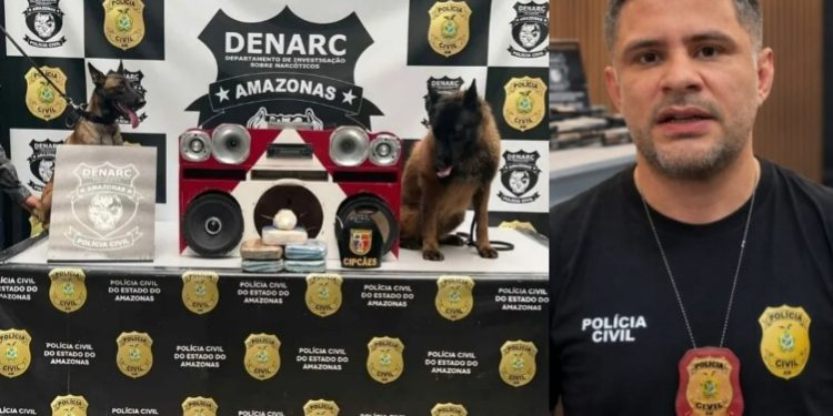 Denarc bate recorde de toda a história e chega a 13 toneladas de drogas apreendidas no Amazonas