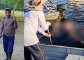 Corp0 de agricultor que estava desaparecido é encontrado b0iando no rio Canumã, no Amazonas