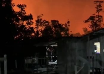 Vídeo: comunidade ameaçada por incêndio pede socorro no Amazonas: ‘quem puder, nos ajude’
