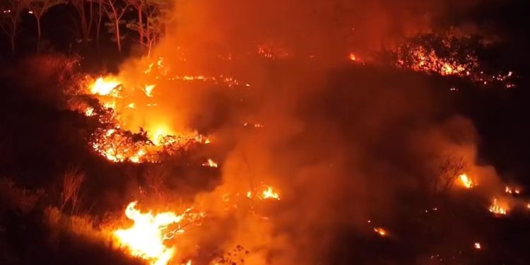 Vídeo de queimada gigantesca em Iranduba ajuda a explicar parte da fumaça que sufoca Manaus