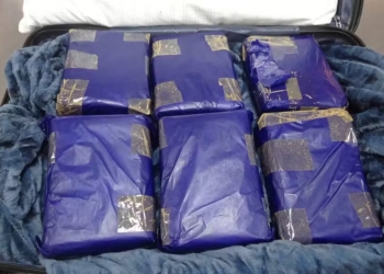 Mulher é pr3sa pela PF com mala recheada com 12 kg de mac0nha no aeroporto em Manaus