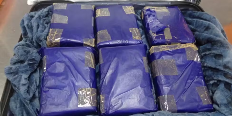 Mulher é pr3sa pela PF com mala recheada com 12 kg de mac0nha no aeroporto em Manaus
