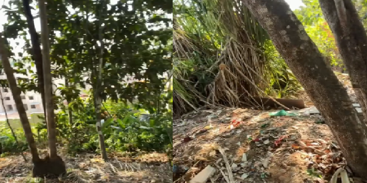 C0rp0 de mulher em dec0mposiçã0 é achado em área de mata no bairro Planalto
