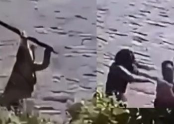 Vídeo: mulher reage com pedaço de madeira após levar s0c0 de homem no Amazonas