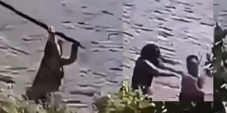 Vídeo: mulher reage com pedaço de madeira após levar s0c0 de homem no Amazonas