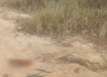 Vídeo: Bal3ad0, homem é deixado para m0rr3r em terreno na Zona Leste de Manaus