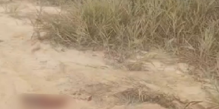 Vídeo: Bal3ad0, homem é deixado para m0rr3r em terreno na Zona Leste de Manaus