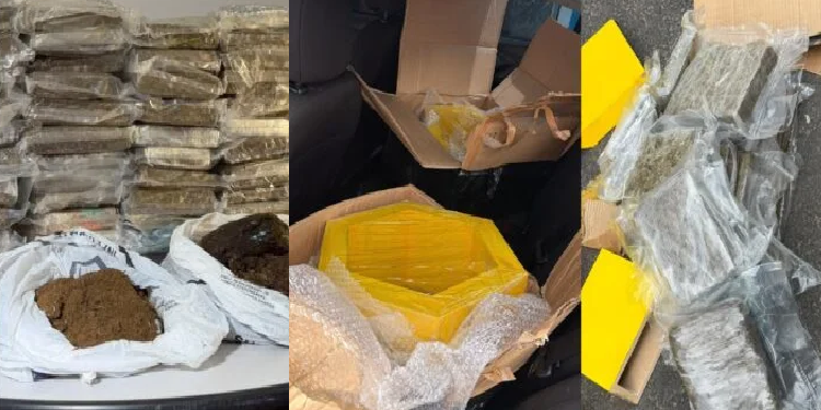 Homem é pr3s0 escondendo 56 kg de skunk dentro de nichos ocos de MDF em Manaus