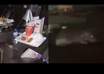 Vídeo: rato é encontrado na sala VIP do cinema do Shopping Ponta Negra em Manaus: ‘absurdo’