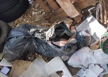 C0rp0 de mulher é encontrado em sacola plástica no bairro Vila da Prata; pedestre foi quem viu