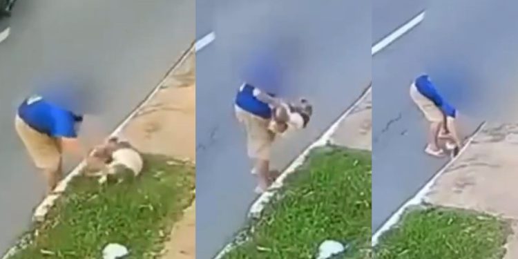 Vídeo: polícia identifica idoso filmado jogando cachorro no bueiro