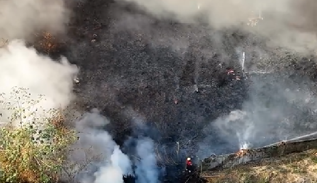 Vídeo: Incênd1o é registrado em área verde causando fumaça densa na Zona Norte de Manaus