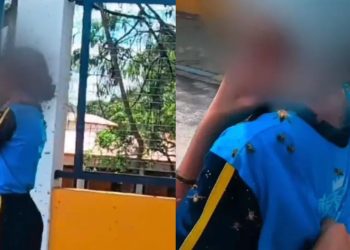 Vídeo: Motoboy enfrenta enxame e leva 40 picadas para salvar estudante durante ataque de abelhas