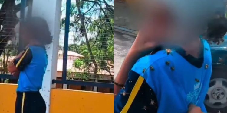 Vídeo: Motoboy enfrenta enxame e leva 40 picadas para salvar estudante durante ataque de abelhas