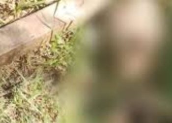 Ossada humana é encontrada em rua de município no interior do Amazonas
