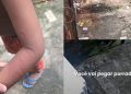 Após meses de agressões, irmãos pedem socorro e caso de m4us-tr4t0s é denunciado em Manaus
