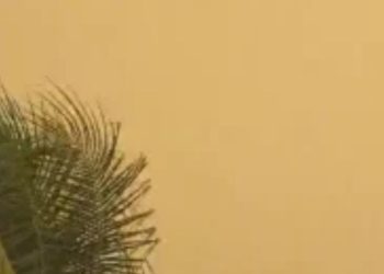 Vídeos: Cacau Pirêra é tomado por fumaça após incêndio