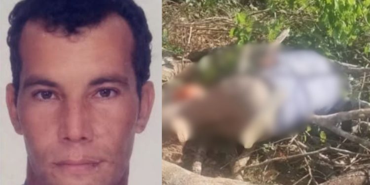Trabalhador m0rr3 soterrado por galhos após cortar árvores com motosserra no interior do AM
