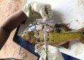 MPF aciona Justiça para cobrar monitoramento de mercúrio em rios, peixes e moradores da Amazônia