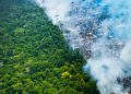 Queima de lixo gera R$ 13,3 milhões em multas em quatro municípios do Amazonas