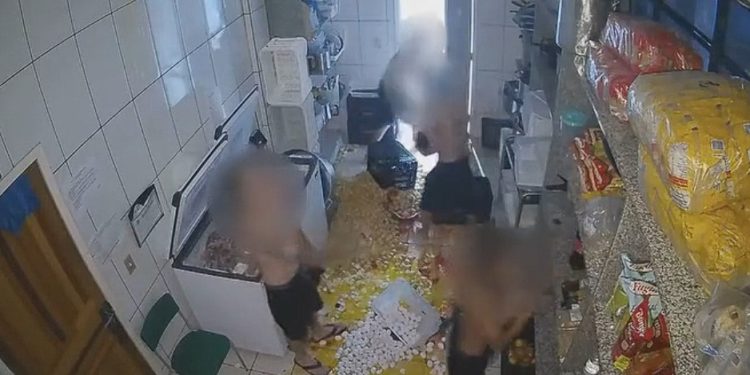 Vídeo: jovens invadem escola e quebram 400 ovos da merenda escolar