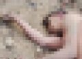 Imagem forte: homem é encontrado m0rto jogado no chão por moradores na AM-010