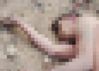 Imagem forte: homem é encontrado m0rto jogado no chão por moradores na AM-010