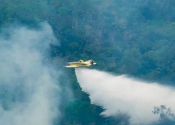 Aviões despejam 1 milhão de litros de água em 369 lançamentos contra incêndios no Amazonas