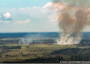 Pará é o Estado com maior quantidade de incêndios e espalha fumaça pela Amazônia