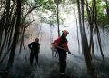 Mais de mil agentes entram em ação contra queimadas em 35 municípios do Amazonas