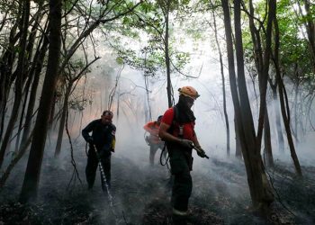 Mais de mil agentes entram em ação contra queimadas em 35 municípios do Amazonas