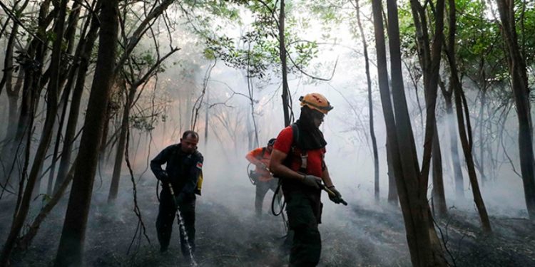 Mais de mil agentes entram em ação contra queimadas em 35 municípios do Amazonas
