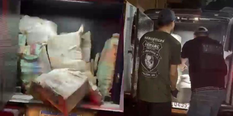 Vídeo: polícia apreende 13 toneladas de dr0gas avaliadas em mais de R$ 27 milhões no Amazonas
