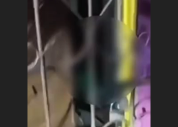 Vídeo: Por optar voto em Flávio, homem diz que é am3açad0 em Manacapuru