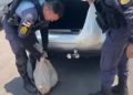 Porr@da entre cunhados idosos acaba em pr1são dupla, apreensão de arm@s e animais silvestres no AM