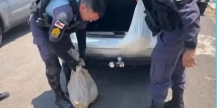 Porr@da entre cunhados idosos acaba em pr1são dupla, apreensão de arm@s e animais silvestres no AM