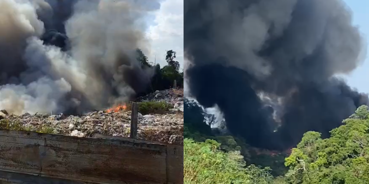 Vídeo: Incêndio atinge área de resíduos recicláveis no Puraquequara