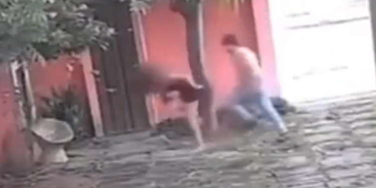 Vídeo: Lutador é flagrado dando 14 s0c0s em mulher e levando o celular dela
