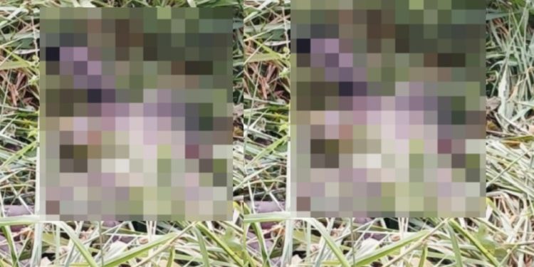 Imagem impactante: morador fotografa homem m0rto e inchad0 na mata da AM-010