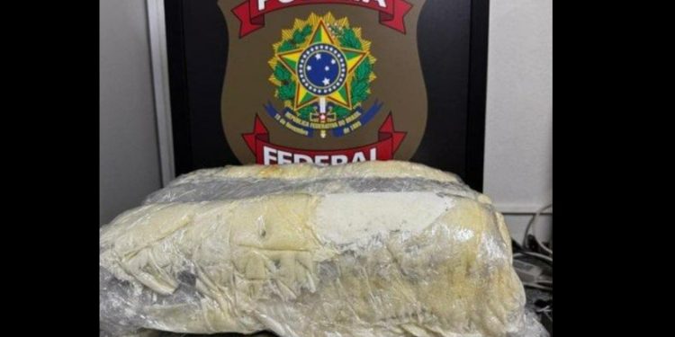 Mulher de Manaus é presa com 33,9 quilos de super mac0nha no aeroporto de Recife
